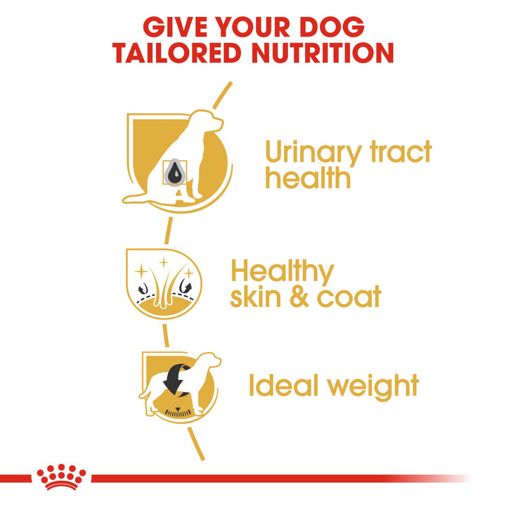 Royal Canin Bichon Frise Adult benefits: urinary tract health, healthy skin and coat, ideal weight