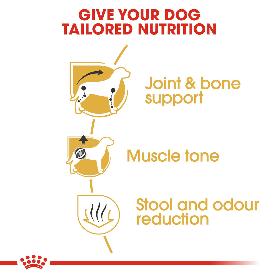 Royal Canin Dachshund Adult benefits: joint and bone support, muscle tone, stool and odour reduction