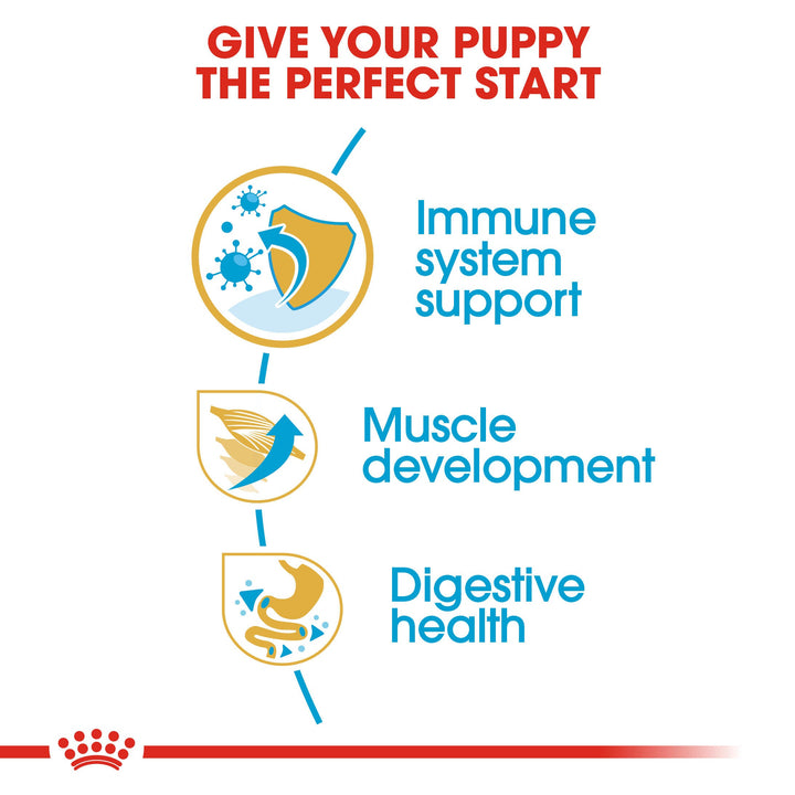 Royal Canin Boxer Puppy benefits: immune system support, muscle development, digestive health
