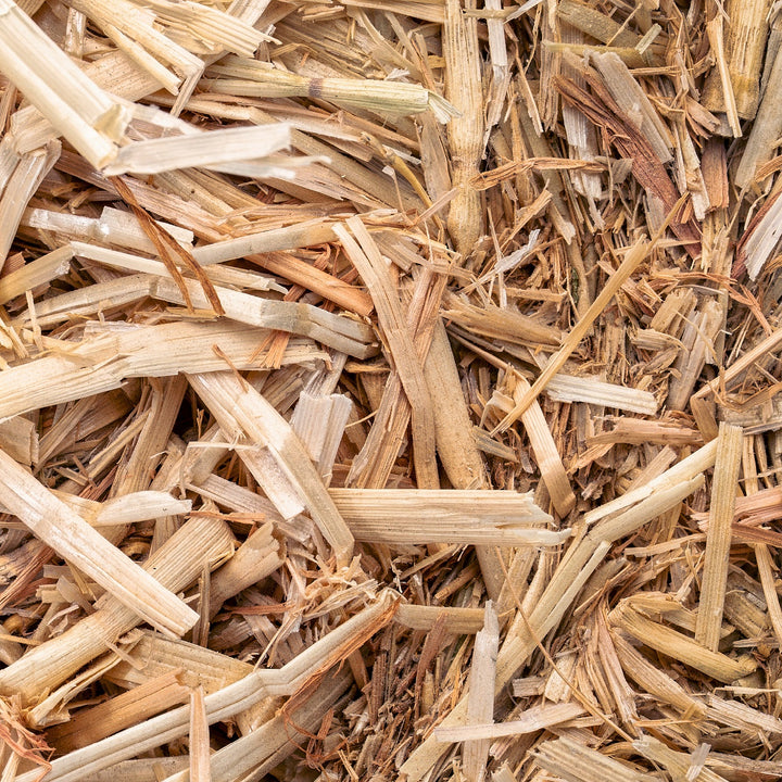 Close up of the natural barley straw used in NT Labs barley straw pouches