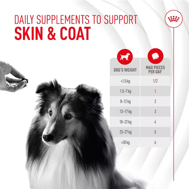 Royal Canin Adult Skin & Coat Supplement 240g