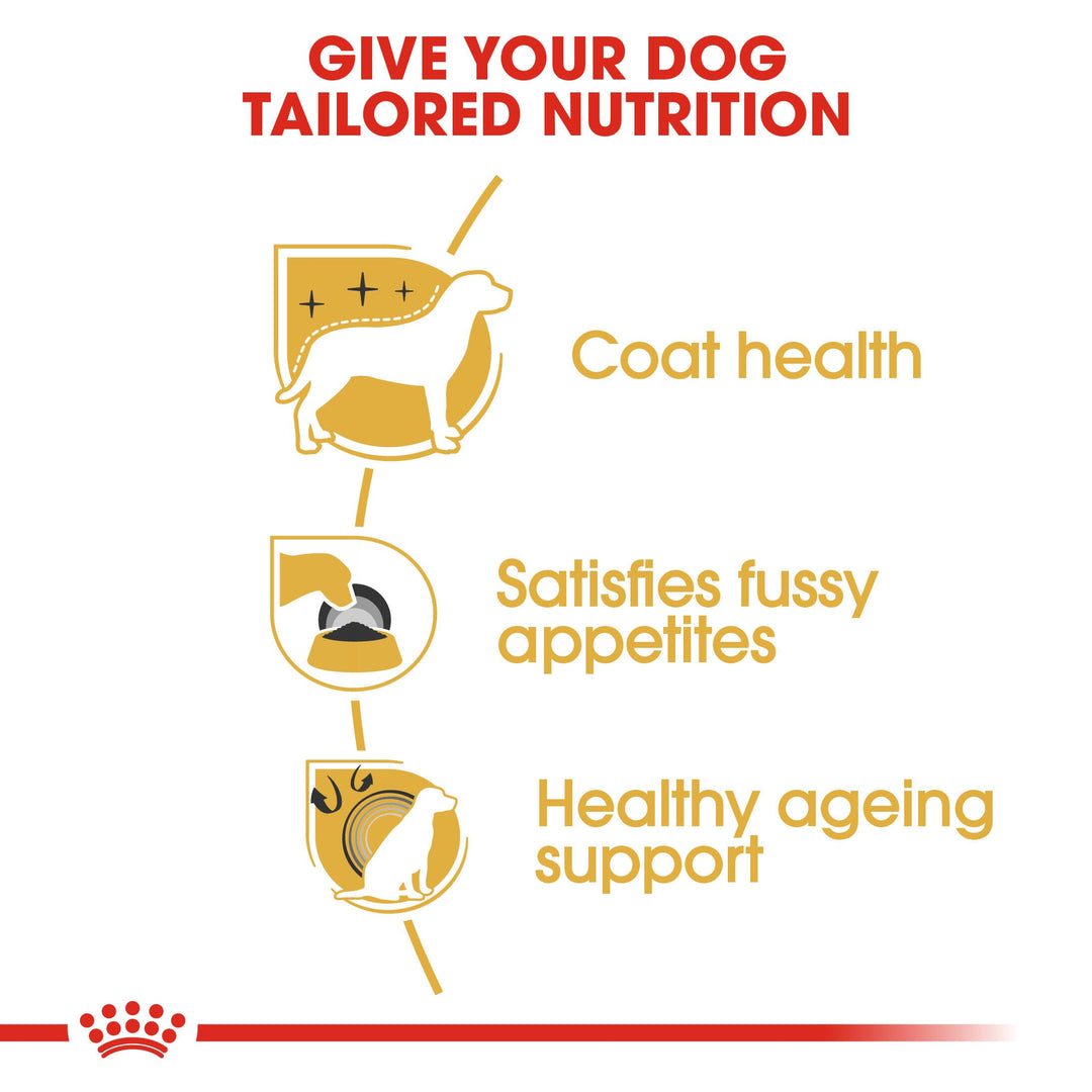 Royal Canin Yorkshire Terrier Adult benefits: coat health, satisfies fussy appetites, healthy ageing support