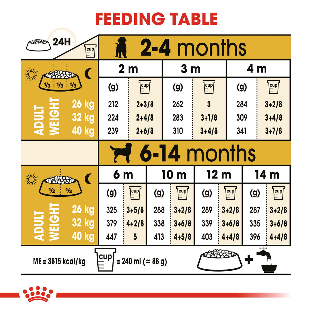 Royal Canin Labrador Retriever Puppy feeding table, 2 to 14 months