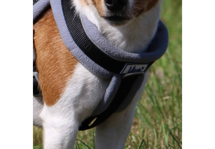 Ancol Viva Padded Dog Harness Black