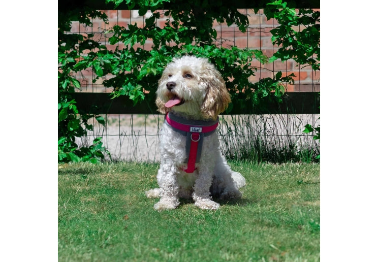 Ancol Viva Padded Harness Pink