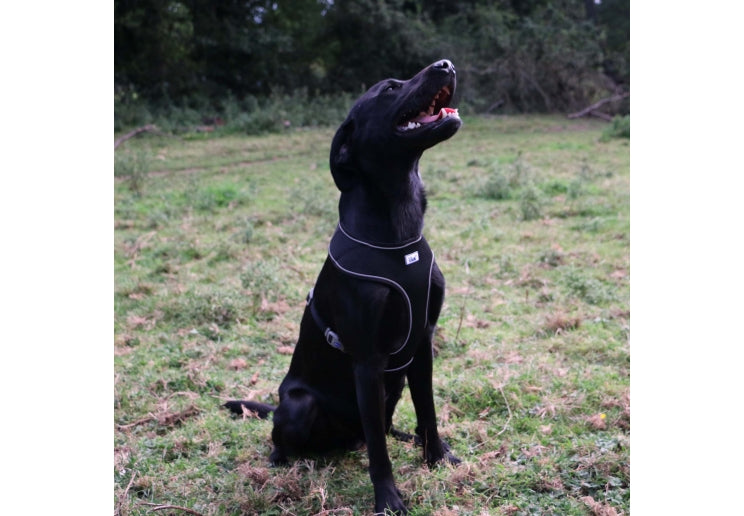 Ancol Viva Comfort Dog Harness Black