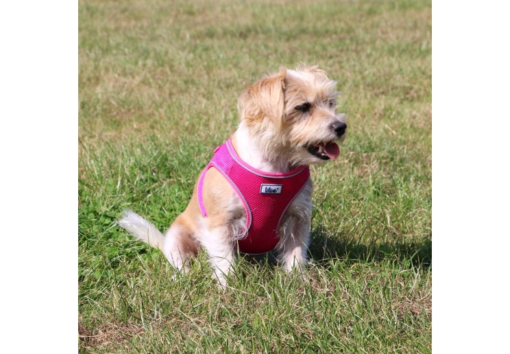 Ancol Viva Step-in Harness Pink