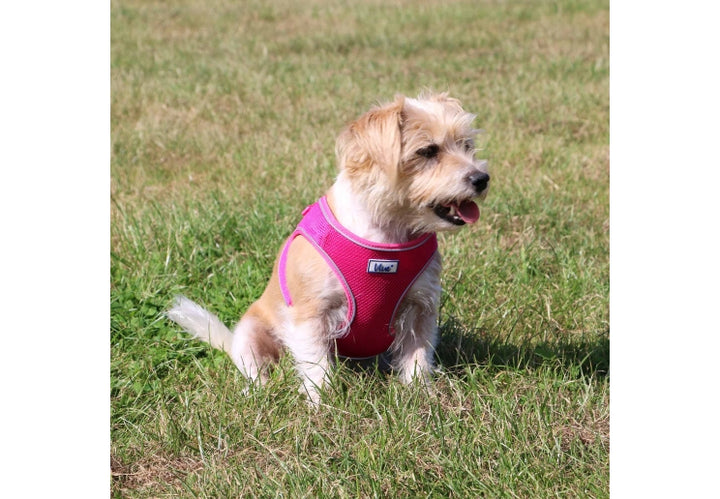 Ancol Viva Step-in Harness Pink