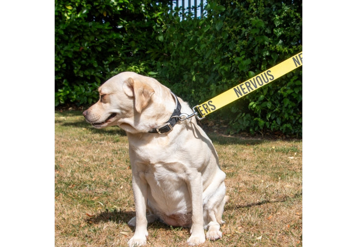 Ancol 40mm Awareness Lead