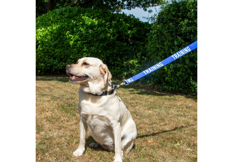 Ancol 40mm Awareness Lead