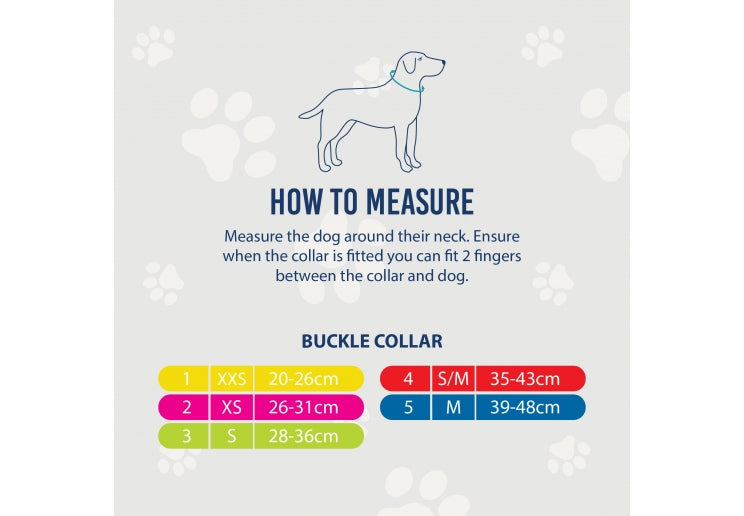 Ancol Viva Nylon Dog Collar Black