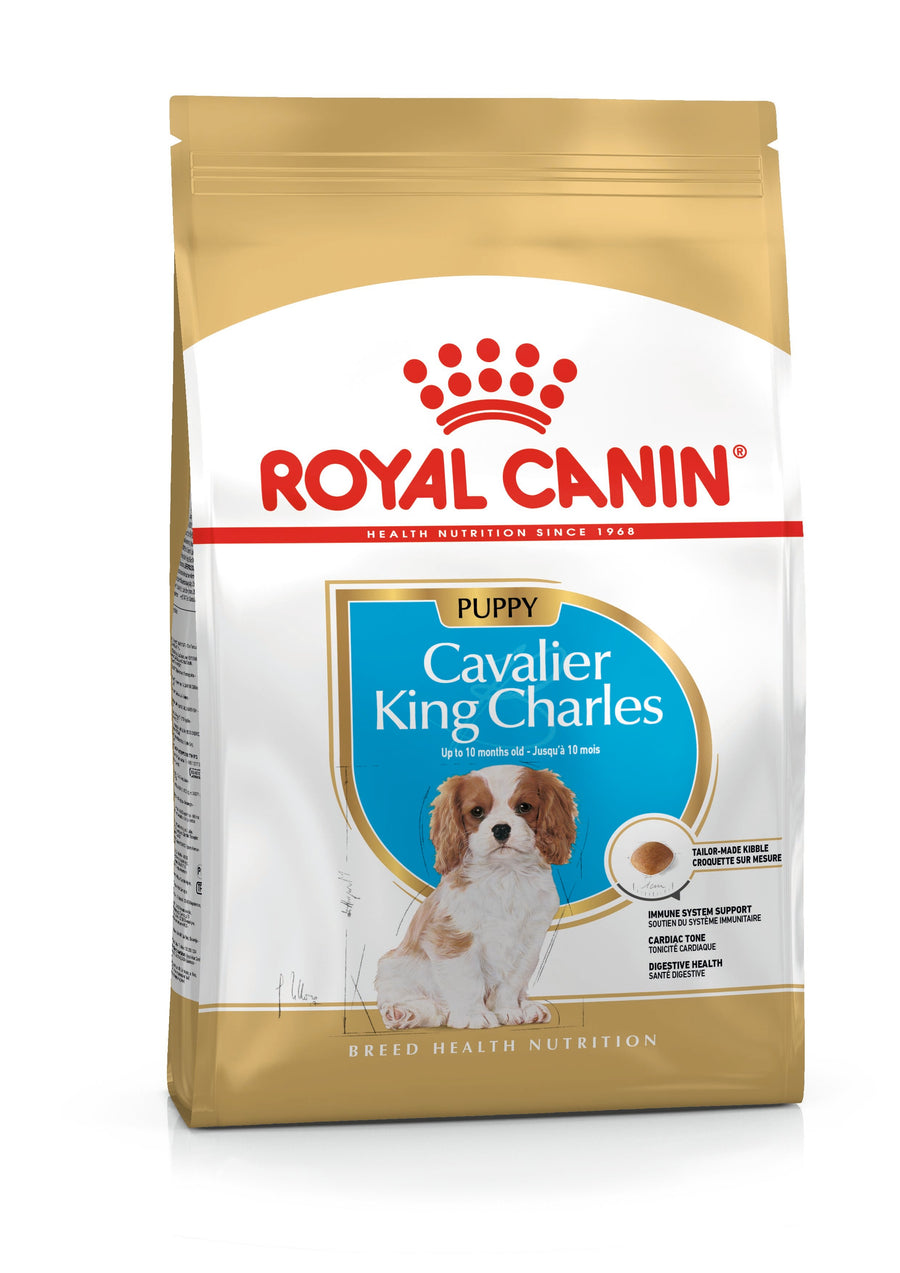 Royal Canin Cavalier King Charles Puppy dry dog food 1.5kg bag front