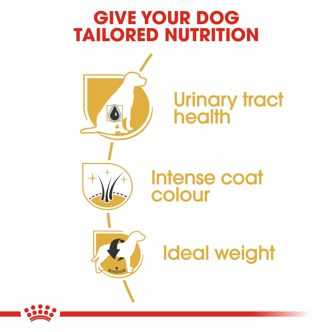Royal Canin Miniature Schnauzer Adult benefits: urinary tract health, intense coat colour, ideal weight