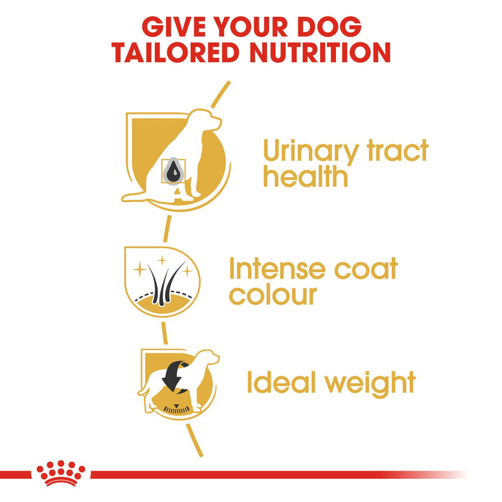 Royal Canin Miniature Schnauzer Adult benefits: urinary tract health, intense coat colour, ideal weight