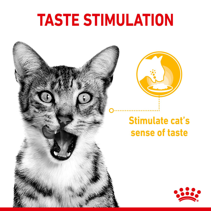 Royal Canin Sensory Taste stimulates your cat's sense of taste