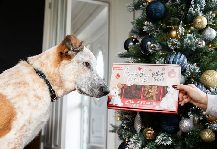 Cupid and Comet Natural Selection dog Gift Box 175g