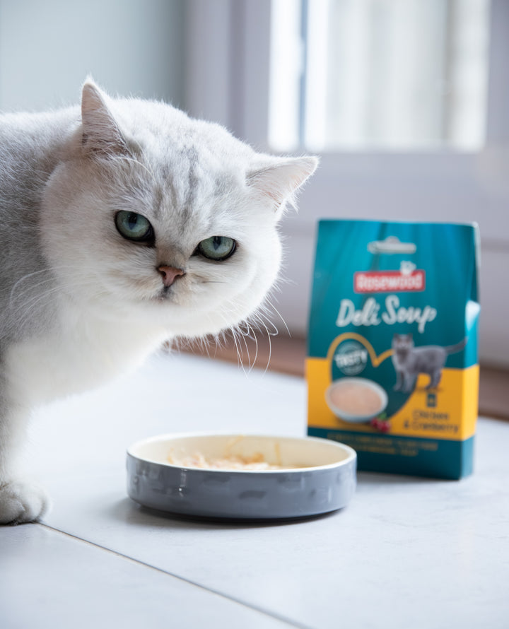 Rosewood Cat Soup Chick & Cranberry 40g x4
