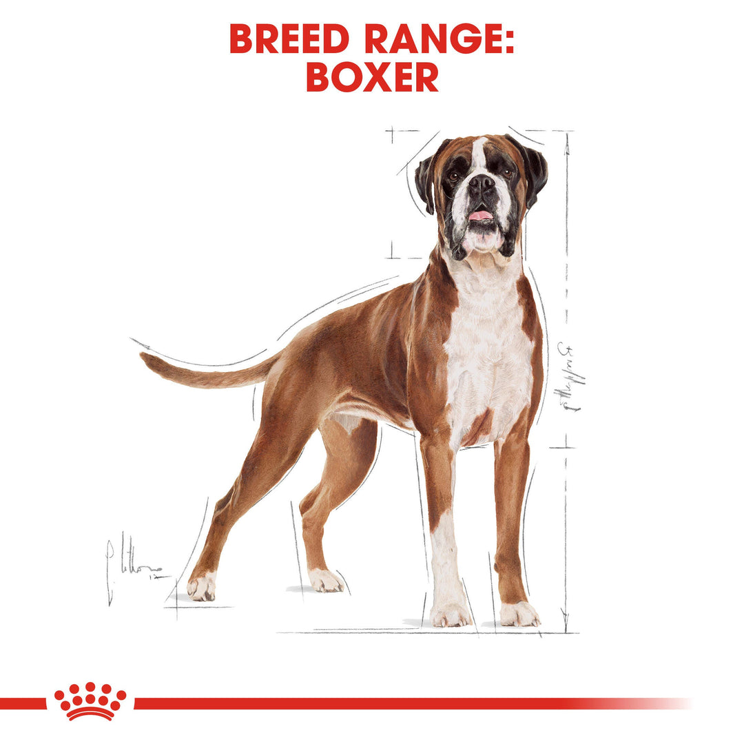 Royal Canin breed range: Boxer