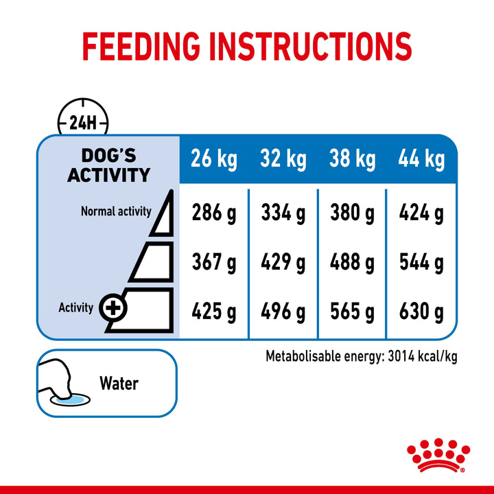 Royal Canin Maxi Light Weight Care daily feeding instructions for dogs 26kg to 44kg