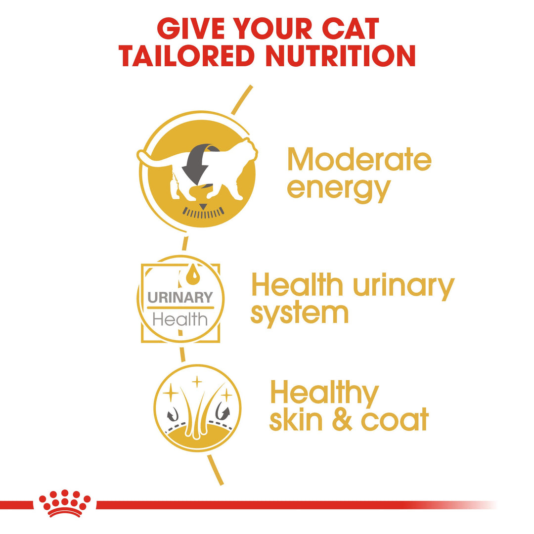 Royal Canin British Shorthair tailored nutrition: moderate energy, healthy urinary system, healthy skin and coat