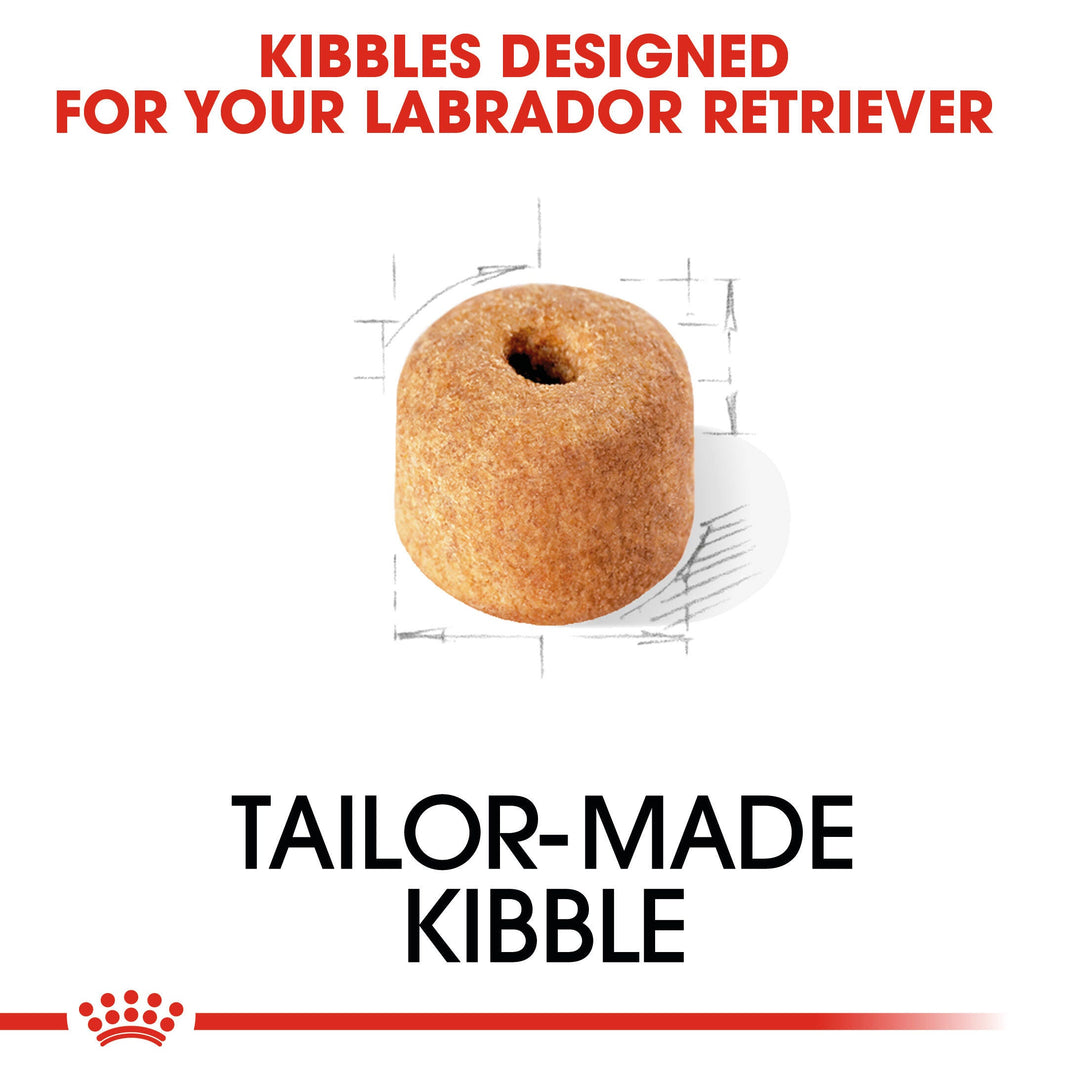 Royal Canin Labrador Retriever Adult tailor made doughnut shaped kibble