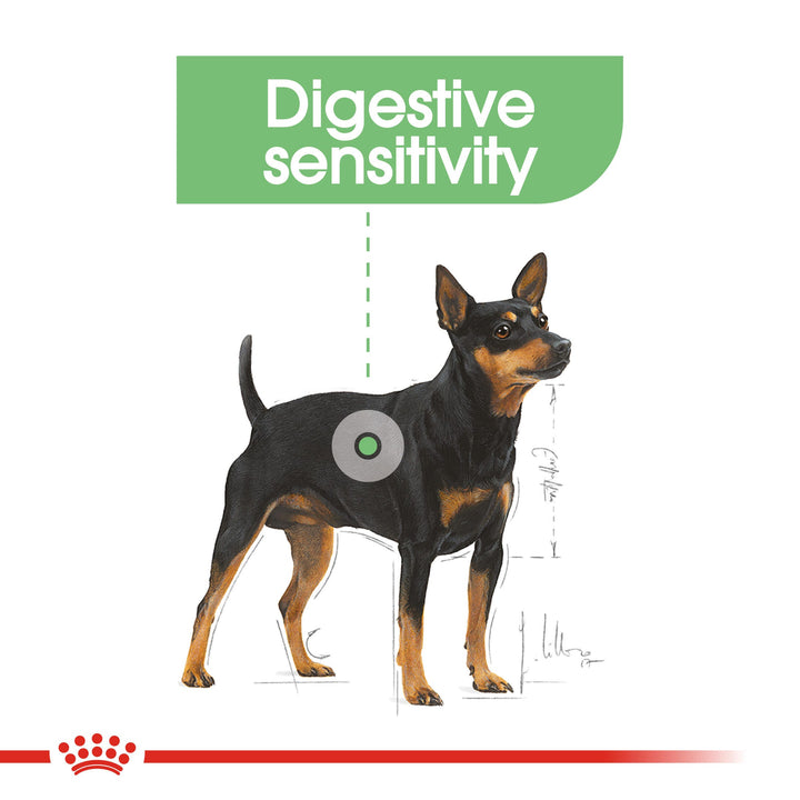 Royal Canin Digestive Care for dogs with digestive sensitivity