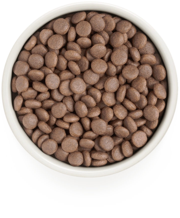 Grandorf White Fish Adult Medium and Maxi dry dog food kibble in a white bowl