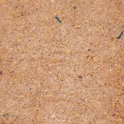 Wild bird Suet Energy Block with Berry