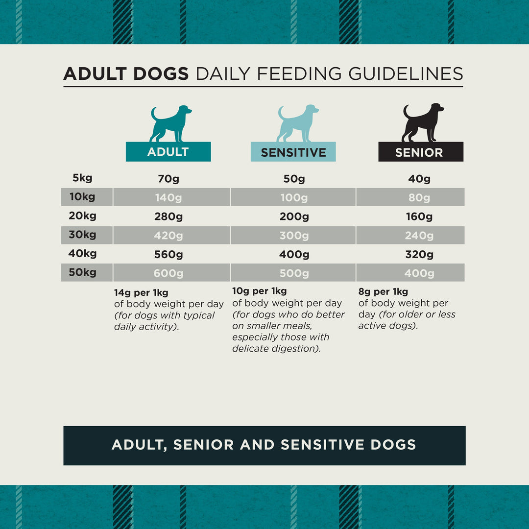 Burns adult, sensitive and senior dog daily feeding guide by body weight