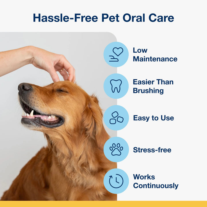 ProDen PlaqueOff Soft Chews for Dogs