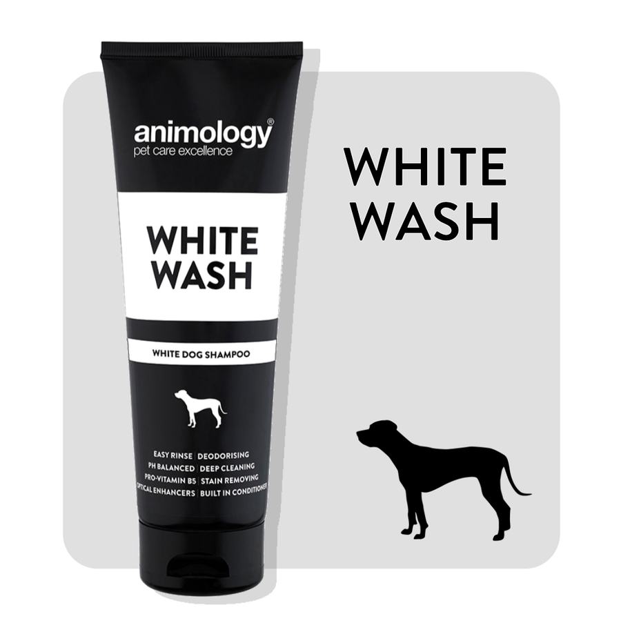 Animology White Wash Shampoo 250ml