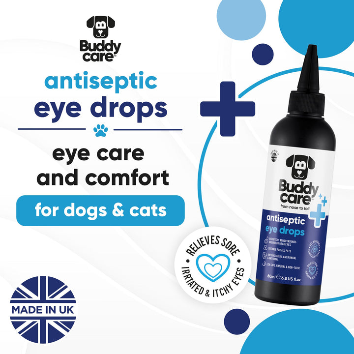 Buddycare Antiseptic Eye Drops for dogs and cats, eye care and comfort, made in the UK