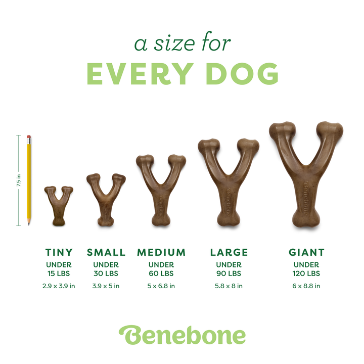 Benebone Wishbone size guide: Tiny, Small, Medium, Large and Giant with dog weight limits and dimensions