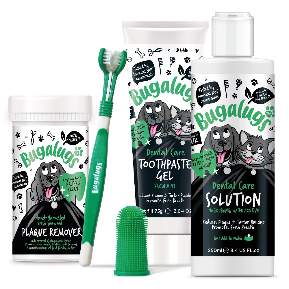 Bugalugs Starter Dental Kit for Dogs & Cats