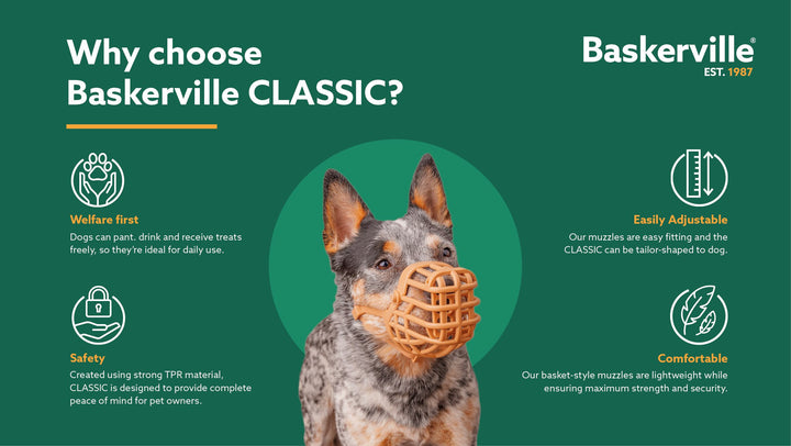 Why choose the Baskerville Classic Muzzle: welfare first, safety, easily adjustable, comfortable
