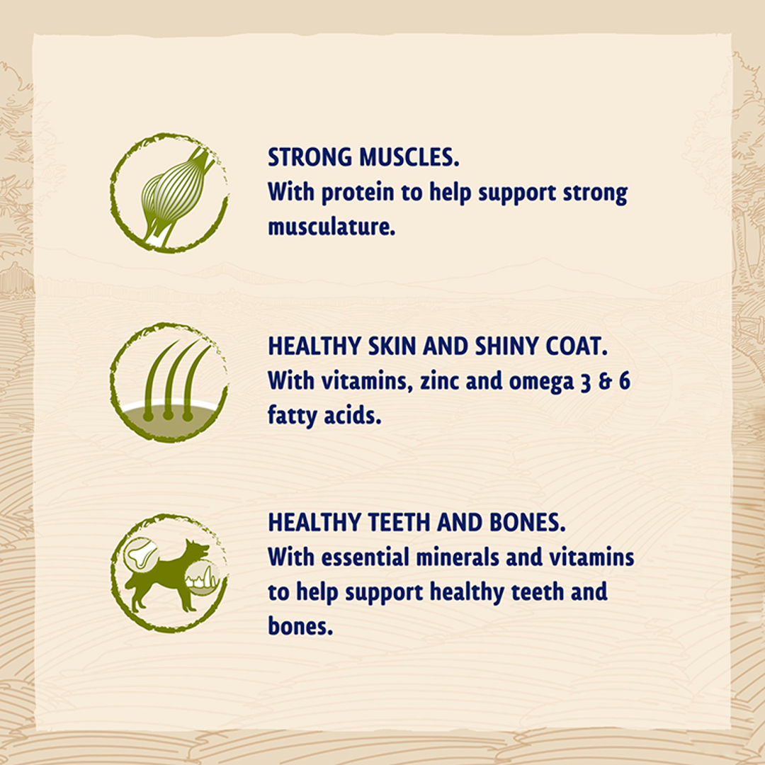 BETA Adult Chicken benefits: strong muscles, healthy skin and shiny coat, healthy teeth and bones