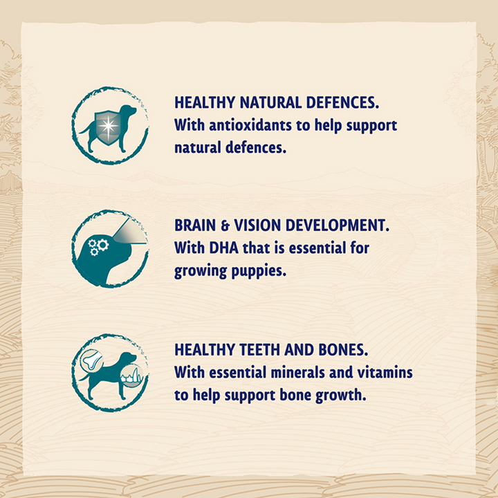 BETA Puppy Chicken benefits: healthy natural defences, brain and vision development, healthy teeth and bones