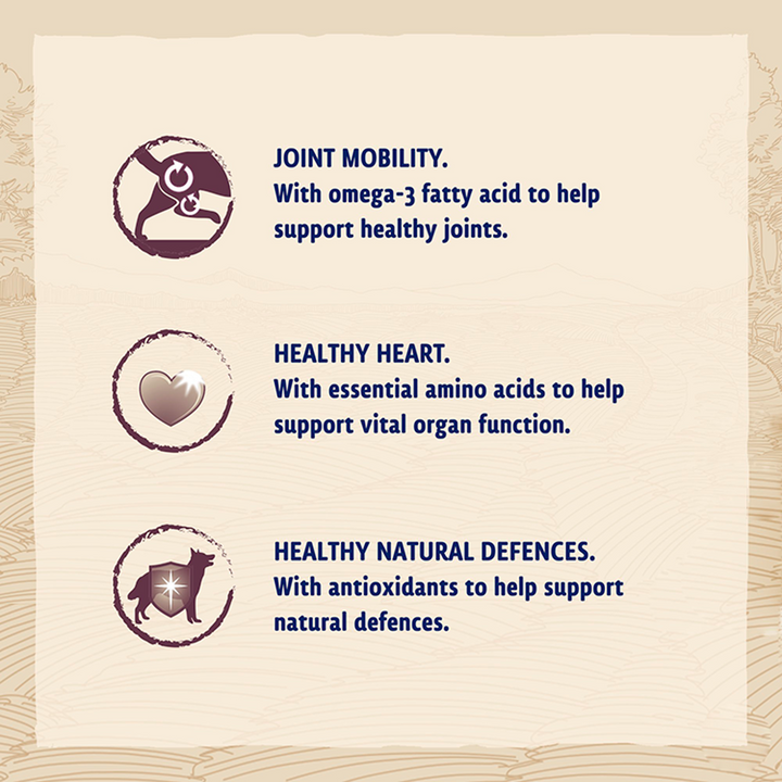 Beta Senior benefits: joint mobility with omega 3, healthy heart with amino acids, natural defences with antioxidants