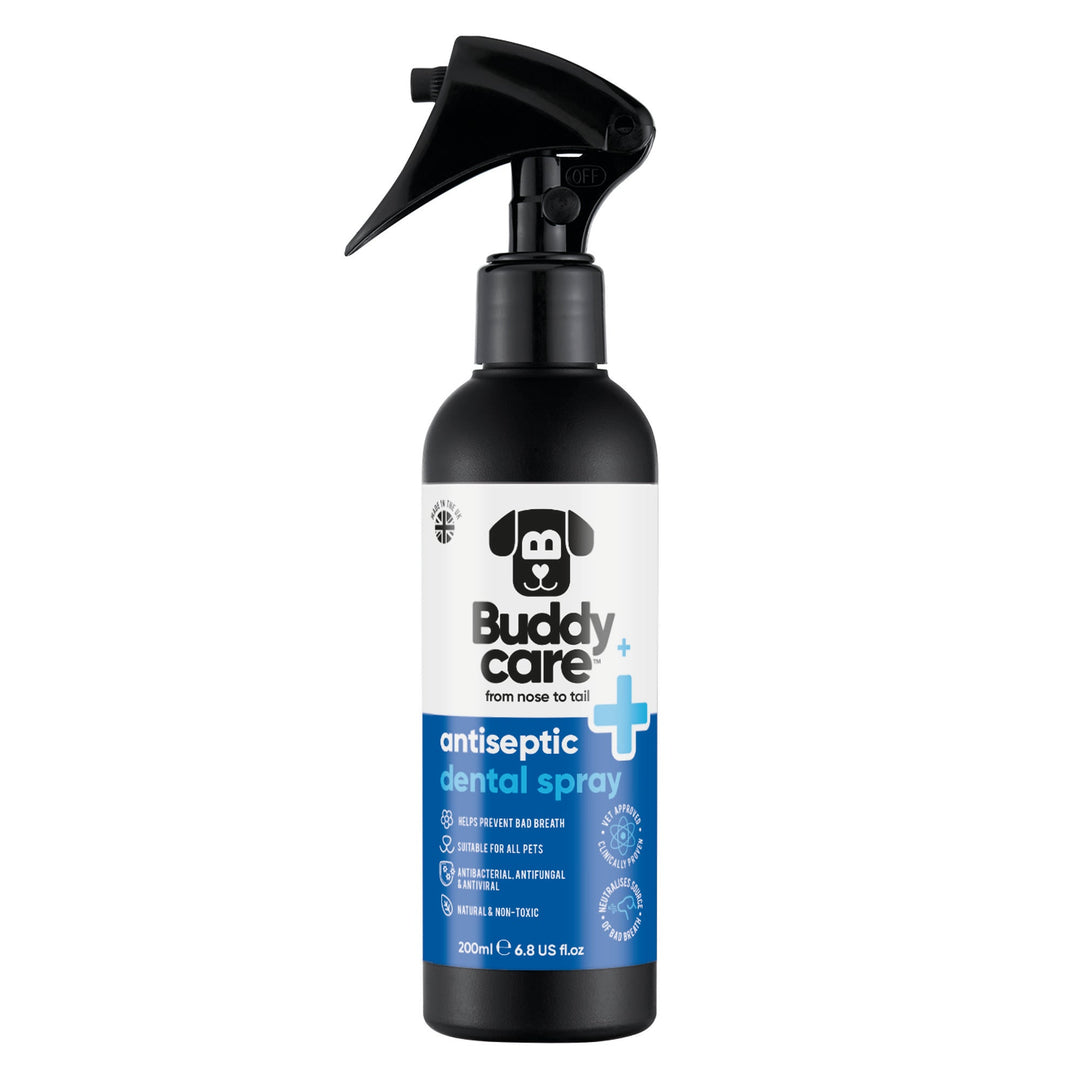 Buddycare Antiseptic Dental Spray 200ml bottle, front