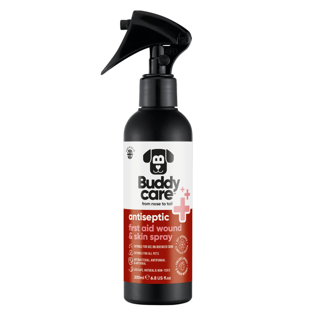 Buddycare Antiseptic First Aid Wound and Skin Spray 200ml bottle, front