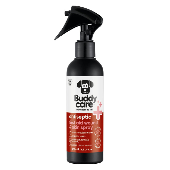 Buddycare Antiseptic First Aid Wound and Skin Spray 200ml bottle, front