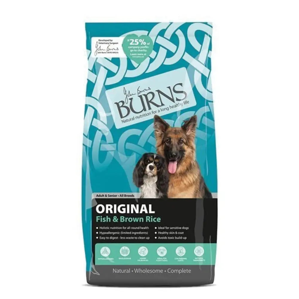 Burns Adult Original Fish & Rice 6kg bag of hypoallergenic dog food for adult and senior dogs, promoting healthy digestion and skin.