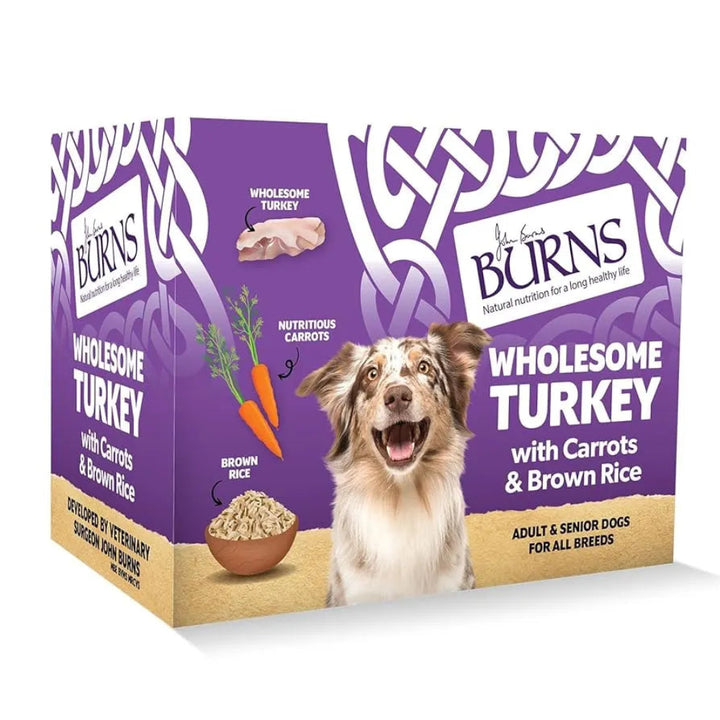 Burns Wet Dog Wholesome Turkey 12 x 150g