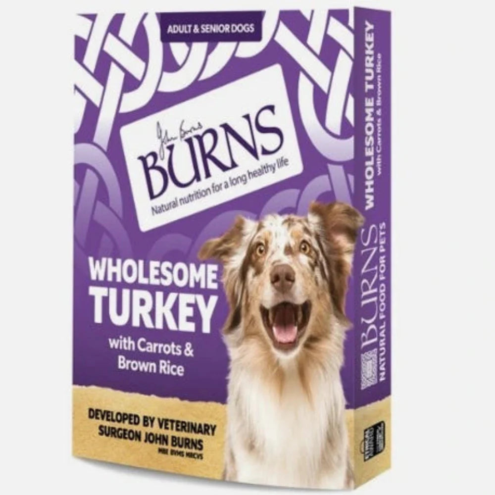 Burns Wholesome Turkey Dog Food 395g