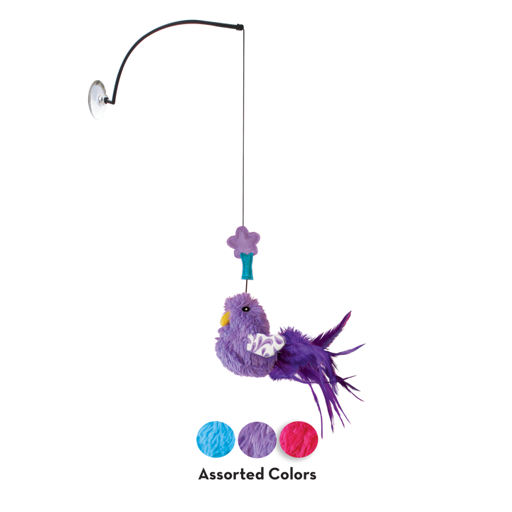 KONG Connects Window Teaser