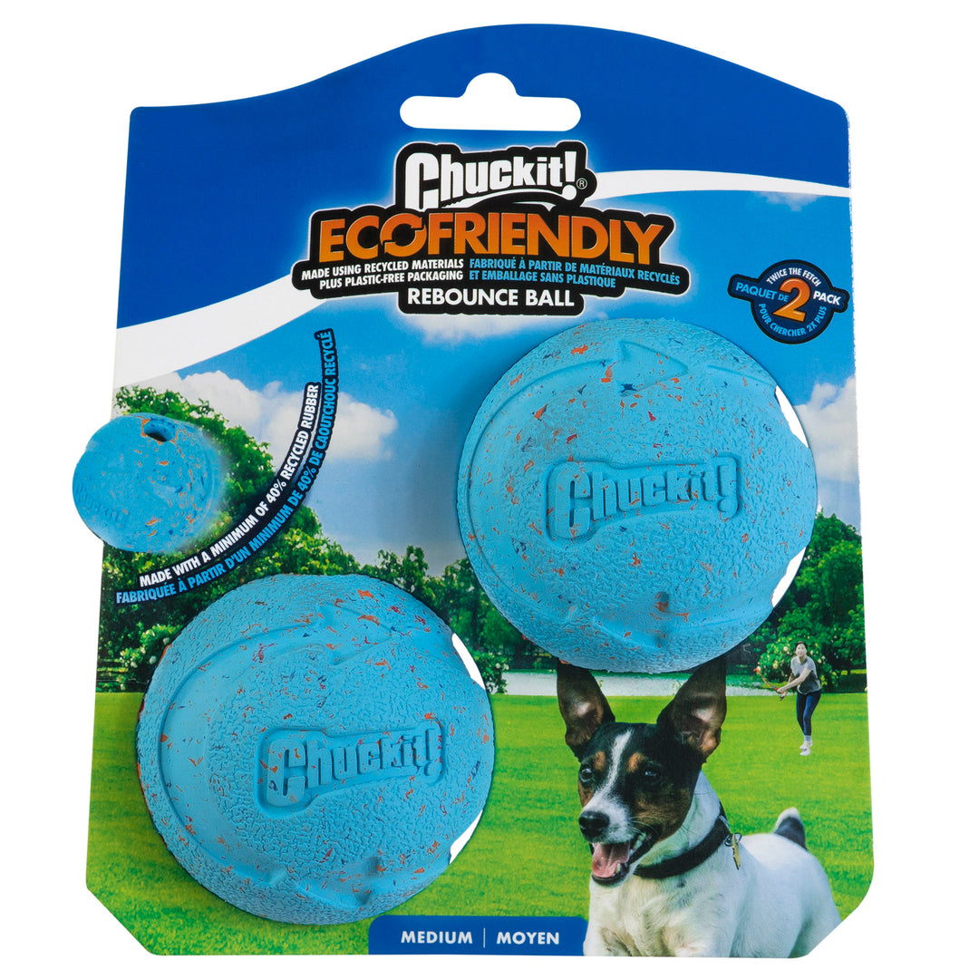 Chuckit! EcoFriendly Ball 2 Pack Dog Toy