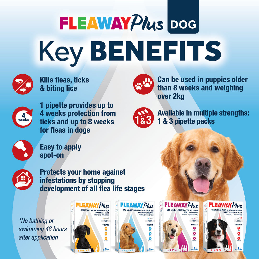 Fleaway Plus Dog key benefits: kills fleas, ticks and biting lice, up to 8 weeks flea and 4 weeks tick protection, easy spot-on, protects your home