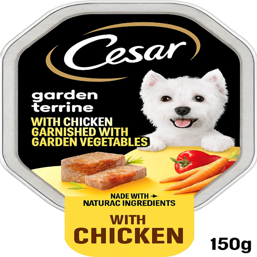 Wet dog food tray
