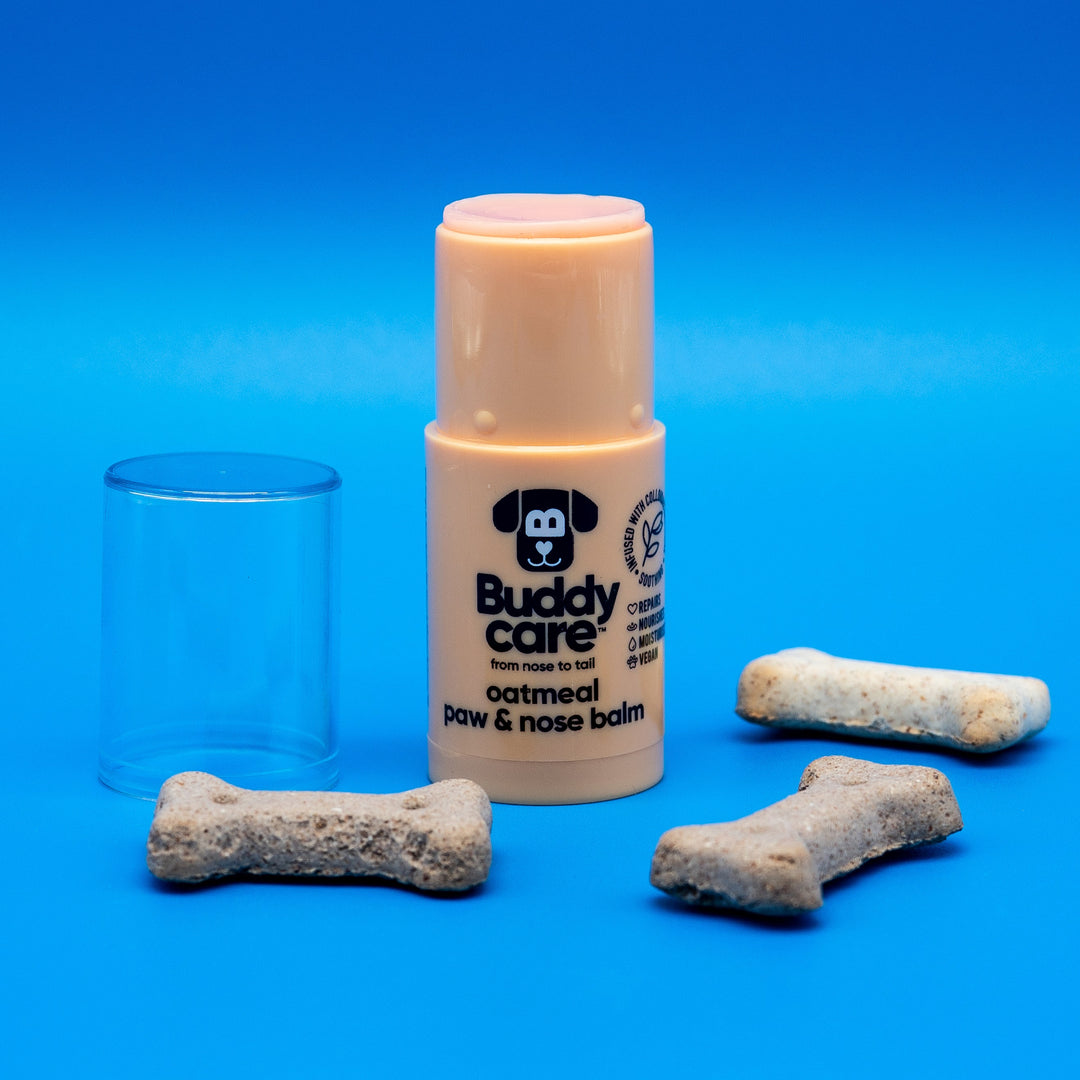 Buddycare Oatmeal Paw & Nose Balm 21g stick with lid off, beside dog biscuits