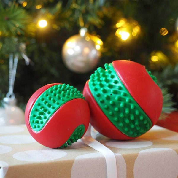Dental Gum Ball Dog Toy - PetWorld
